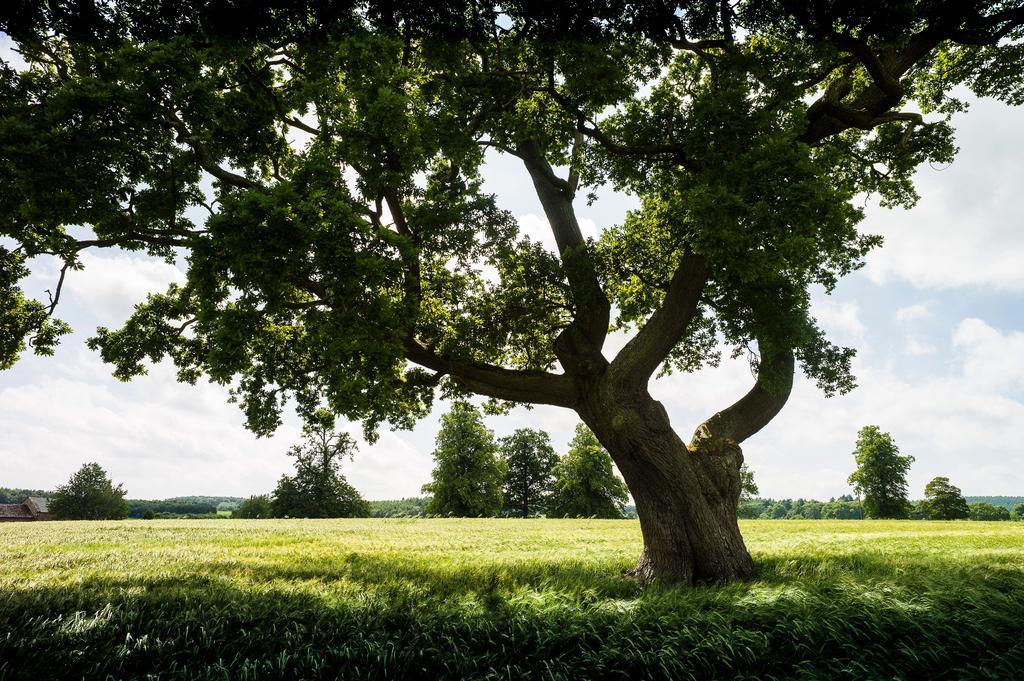 Edenhall Country Hotel エクステリア 写真